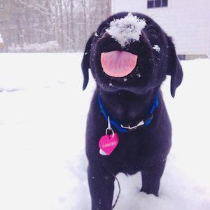 精品人妻一区二区三区视频下架
